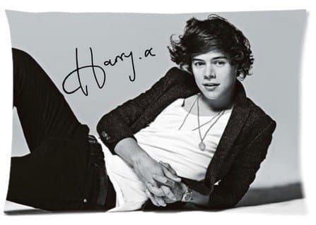 Accurate Store the boy band One Direction Harry Styles Pillow case Covers Standard Size 20"x30"