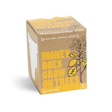 Grow Me. Money Plants