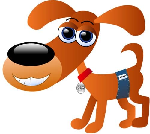 Tinkle Belts, Size XL (22-24" Waist)