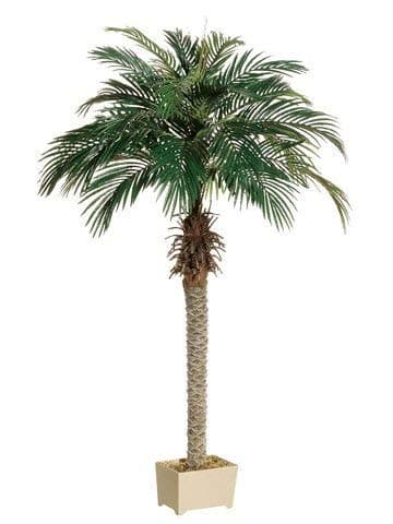 One about 6 foot tall Artificial Silk Phoenix Palm Tree Potted by Silk Tree Warehouse Company Inc