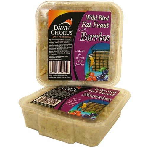 Dawn Chorus 12 pack Berry Fat Cakes for Birds