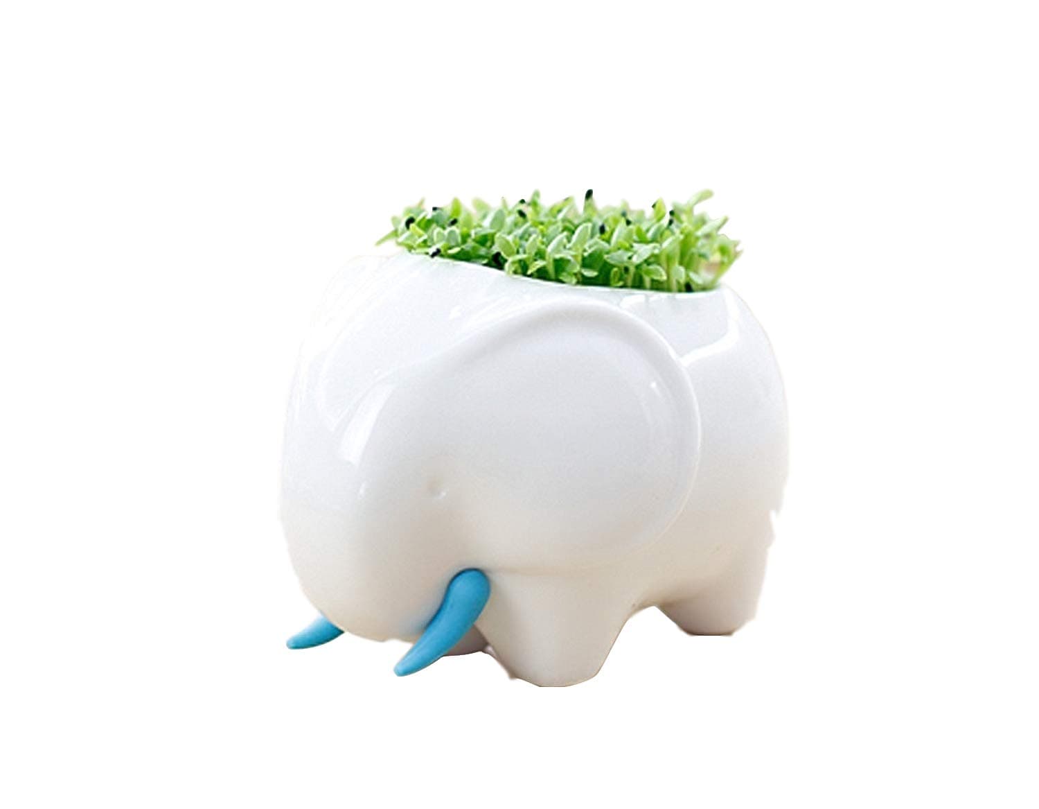 (TM New Decorative Elephant Design White Mini Ceramic Plant Flower Pot Succulent Planter w/Saucer (Elephant)