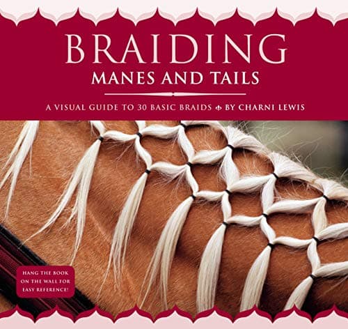 Braiding Manes and Tails: A Visual Guide to 30 Basic Braids Spiral-bound – February 20, 2008
