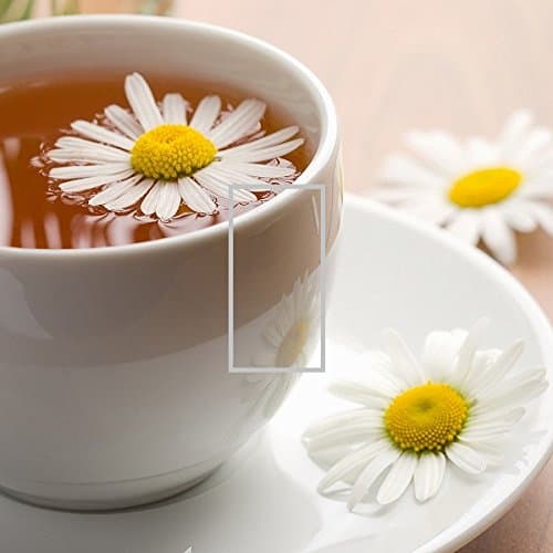 LIGHT SWITCH COVER VINYL STICKER SKIN PLATE L64 CUP OF TEA CHAMOMILE PLATE FLOWER DAISY WALL DECAL SELF ADHESIVE DECORATIVE HOME ACCESSORIES BEDROOM CHILD ROOM