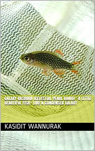 Galaxy Rasbora (Celestial Pearl Danio) : A little beautiful fish - Like a condensed Galaxy Kindle Edition