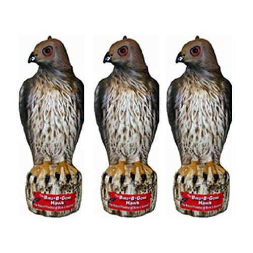 MMRTH1 Hawk Decoy Bird Deterrent
