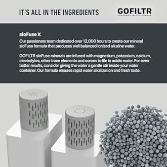 GOFILTR Jumbo Magnesium Alkaline Water Infuser - 9.5 pH + Electrolytes for Any Large Water Bottles/Pitchers, 300 Gallon / 3 Months, Ionized Mineral Alkaline Water Infuser (1 Pack)