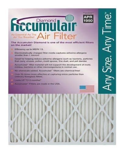 Accumulair FD20X22 Diamond Disposable Air Filter