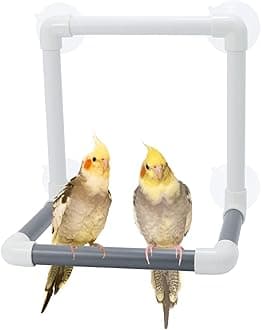 Bird Portable Suction Cup Shower Perch Parrot Window Wall Standing Platform for Cockatoo Conure Cockatiel African Grey