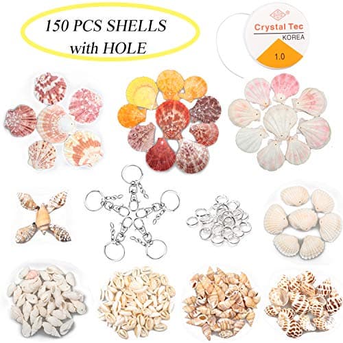 Jangostor Shells Set (9 Kinds 150PCS Sea Shells with Hole/ 5 PCS Metal Keychain/ 20 PCS Jump Rings/ 5 M Crystal Elastic String) Natural Colorful Seashells Perfect for Jewelry Making, Home Decoration