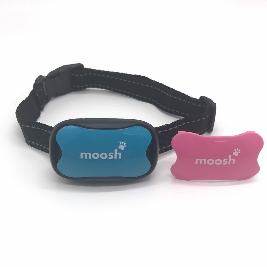 Moosh Anti-Barking Training Collar Dogs, Shock Dog Bark Collar with 7 Sensitivity Levels Pink and Blue