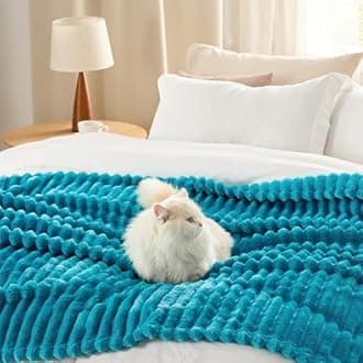 Bedsure GentleSoft Teal Full Blanket for Bed - Cozy Soft Blankets for Women, Cute Large Throws for Girls, 84x90 Inches