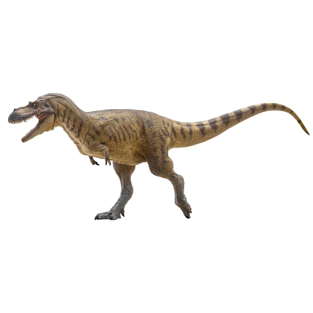 Prehistoric Dinosaur Models (72 Wally The Albertosaurus)