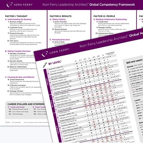 Korn Ferry Leadership Architect Global Competency Framework Vinyl Bound – January 1, 2017