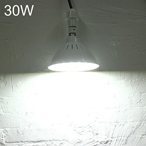 B22 30W SMD 5730 220V 60 LED Warm White/White Light Bulb Workshop Lamp