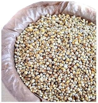 Mahaluxmi Bajra / Peal Millet 1 Kg