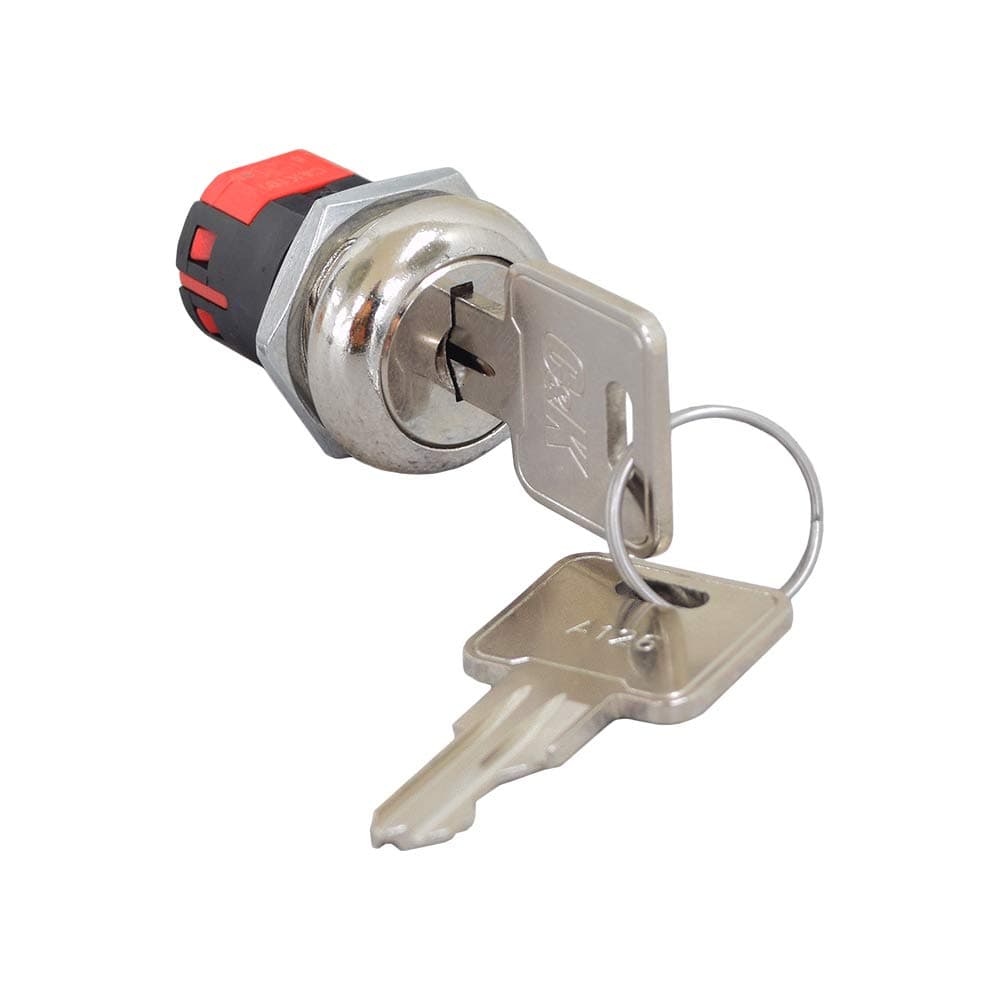 AlveyTech Key Switch with Standard Metal Head Keys for Amigo, Go-Go, & Pride Mobility Scooters - Replacement Panel Mount Assembly with 2 Keys for GOGO Electric Scooter (SWTKEY1011 / 20133500/13501)