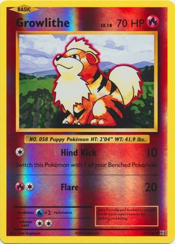 Pokemon - Growlithe (17/108) - XY Evolutions - Reverse Holo