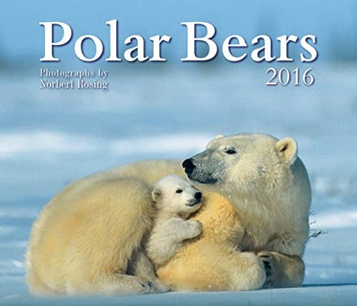 Polar Bears 2016 Calendar – Wall Calendar, May 22, 2015