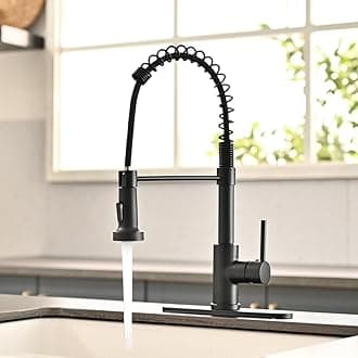 OWOFAN Kitchen Sink Faucet with Pull Down Sprayer, Contemporary Stainless Steel Single Handle Spring Kitchen Faucets Two Outlet with Deck Plate Black