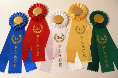 Rosette Award Ribbon Set - One each: 1st, 2nd, 3rd, 4th, 5th {5 total ribbons}