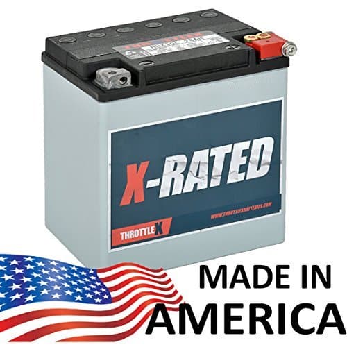 TX30L - (USE HDX30L) Harley Davidson Replacement Motorcycle Battery