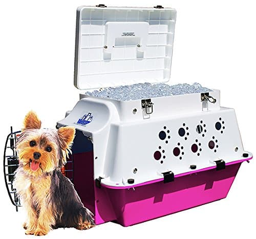 Premium Pet Cooler Carrier - Cool for All Seasons! Cooling, Hydration, Storage, Sturdiness & Style.