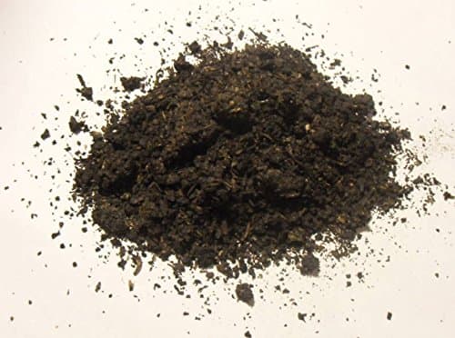 2g Baybean 10x Extract / Canavalia Rosea / Maritima Herb