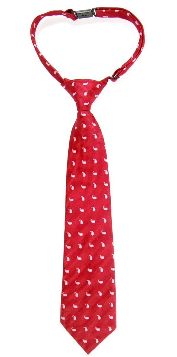 Retreez Small Paisley Pattern Woven Microfiber Pre-tied Boy's Tie