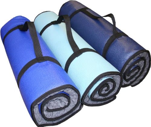 Ball Dynamics Int. LLC K9FITbed Floor Mat with Poster for Dogs Blue Size M/L