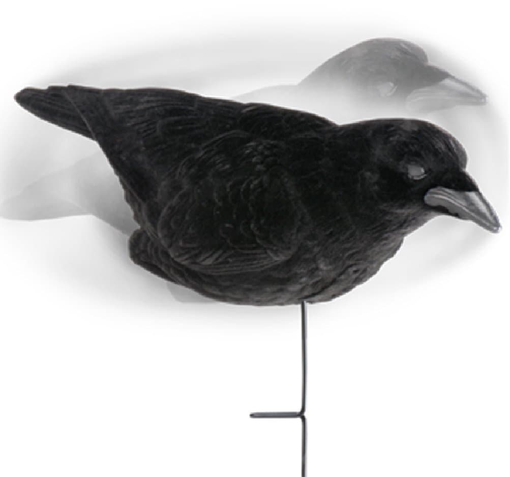 Lucky Duck 3 Pack of Crow