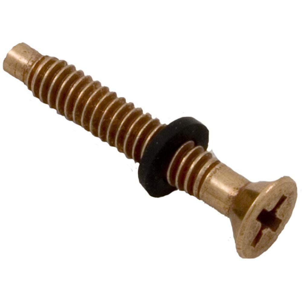 Pentair Light Pilot Screw, American Products, Amerlite, Brass
