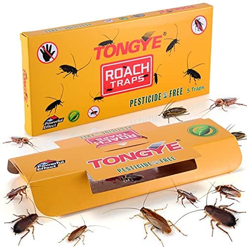 Roach Traps, Professional Cockroach Glue Traps, Sticky Roach Motel for Roaches Bugs Spiders Crickets Beetles Ants, Non-Toxic and Eco-Friendly (5 Pack)… (Yellow)