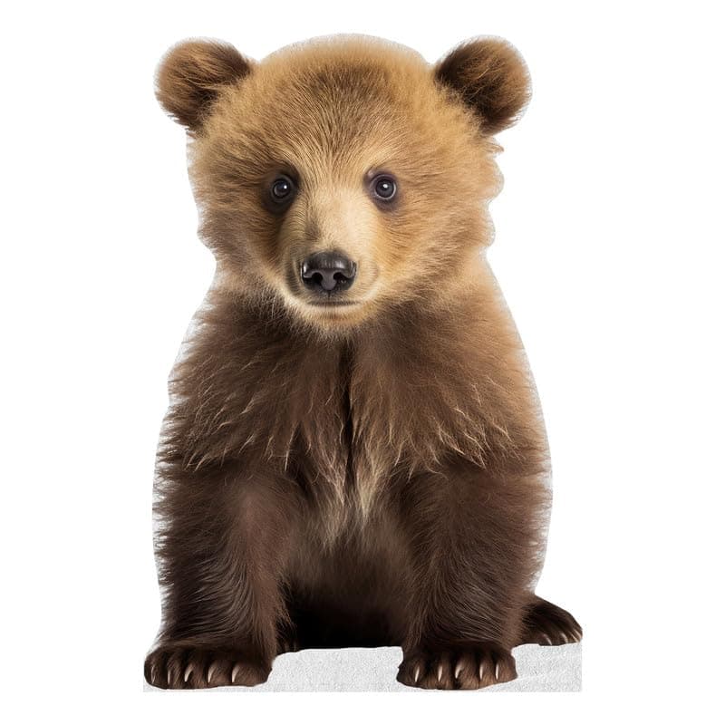 Young Bear - Life Size Cardboard Cutout Standup People with Support Standee | Animals -