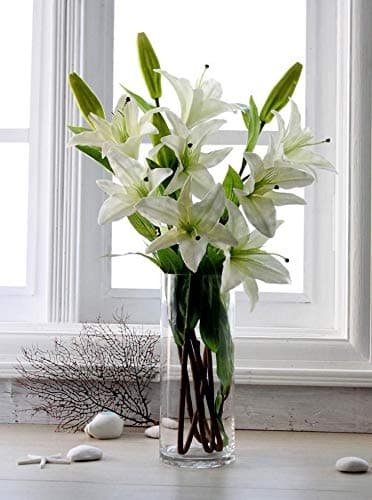 IncrizmaImported Cylinder Glass Vase (H-25 cm)