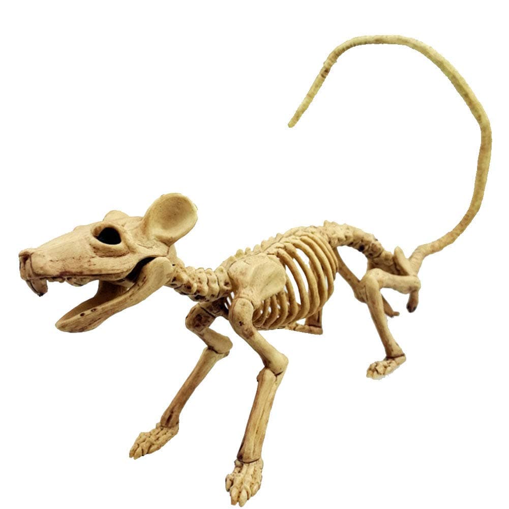 Halloween Rat Skeleton Plastic Animal Skeleton Bones Simulative Skeleton Decoration for Horror Halloween Decoration