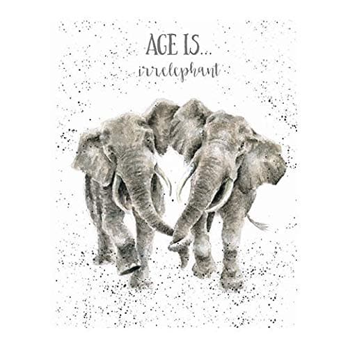 Greeting Card - AGE IS IRRELEPHANT (Elephants)