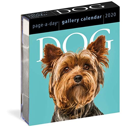 Dog Page-A-Day Gallery Calendar 2020