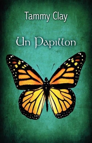 Un Papillon Paperback – February 4, 2011