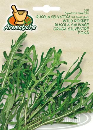 Salerno Seeds Arugula Wild Rocket Rucola Selvatica 3 Grams Made in Italy Italian Non-GMO