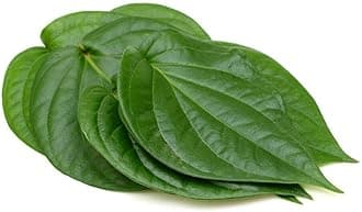 Fresh & Organic Indian Pan Leaf, Betel Leaves, Pan Leaves