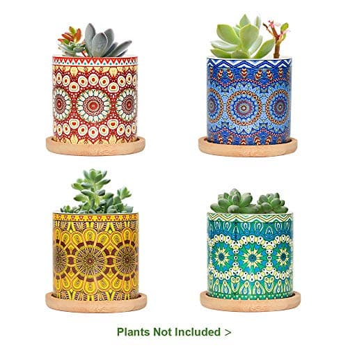 Mandala pots