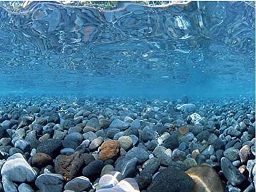 Happygfish 9078 17.7" x 48" Double Sided Fish Tank Aquarium Background Cobblestone/Green Landscape