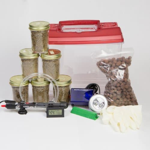MushPonic Kit - 1 Step Easy Plug n' Play Hydroponic Mushroom Grow Kit - Use Hydroponics to Grow Mushrooms! + 6 Made To Order Glass Premium Grow Jars (Retails $194.95) As Seen in HighTimes Magazine