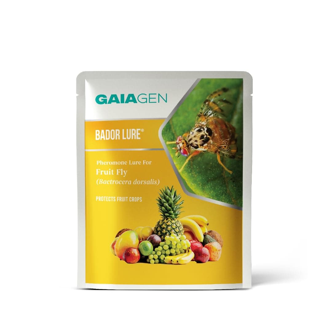 Bador Lure | Pheromone Lure for Fruit Fly (Bactrocera Dorsalis) | Pack of 10 | (Does Not Include Traps).