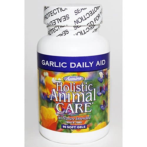 Garlic Daily Aid 90 gels