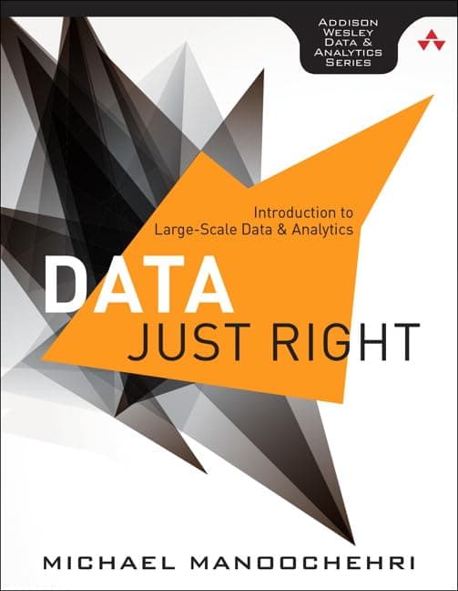 Data Just Right: Introduction to Large Scale Data & Analytics (Addison-Wesley Data and Analytics): Introduction to Large-Scale Data & Analytics Paperback – 19 Dec. 2013