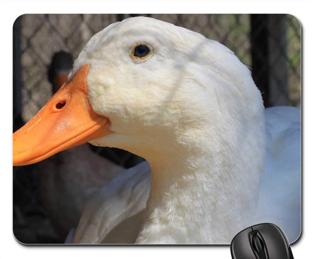 Mouse Pad - Duck Pekin Peking White Eye Older Bill Feathers