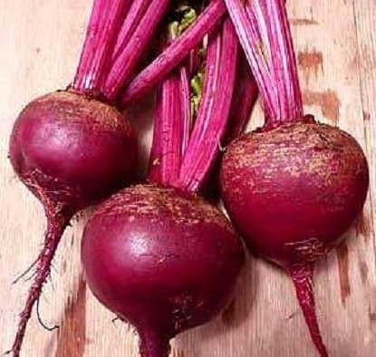 Splendour Seeds Beetroot Seeds