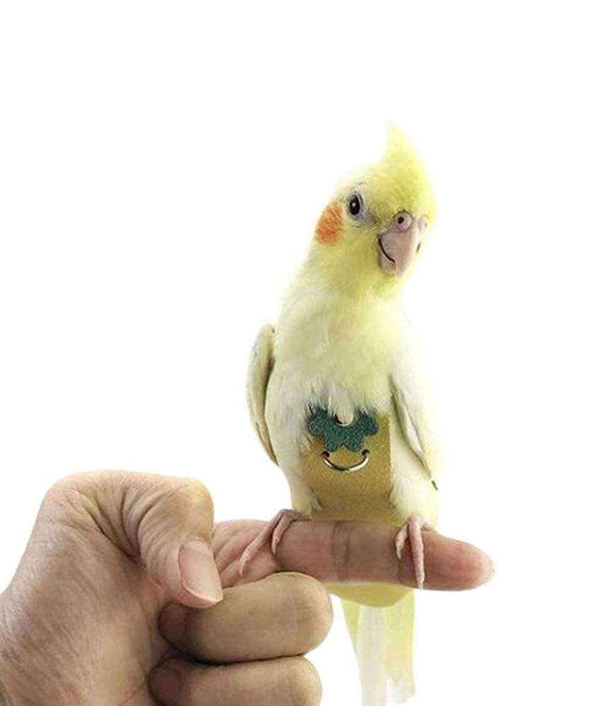 Birds Nappy Parrots Diaper, Waterproof Flight Suit, With Chain/Reusable/Washable, Suitable for Lovebirds Cockatoos Parakeets Outdoor Flying,100cmchain